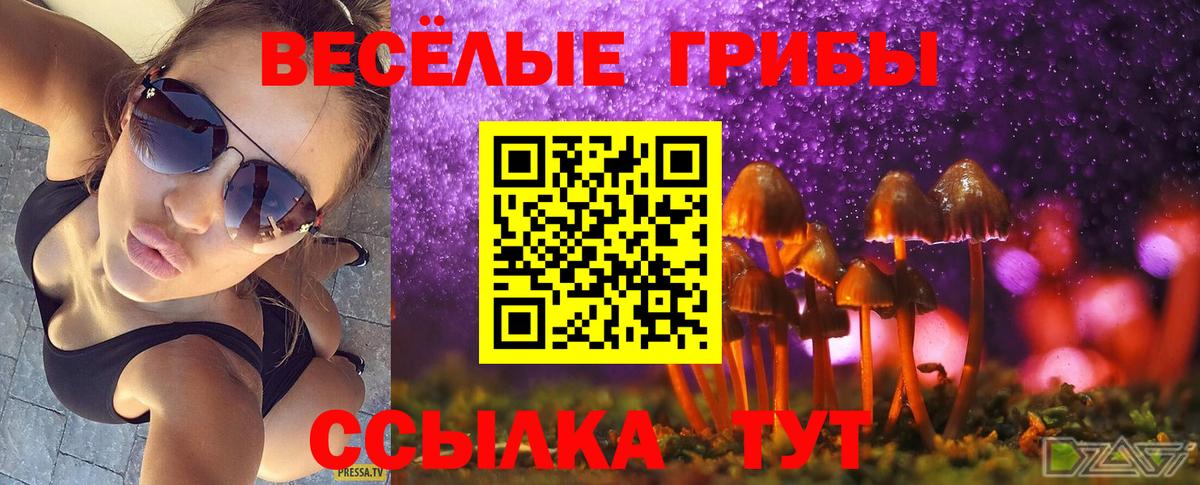 Псилоцибиновые грибы Psilocybine cubensis Рузаевка